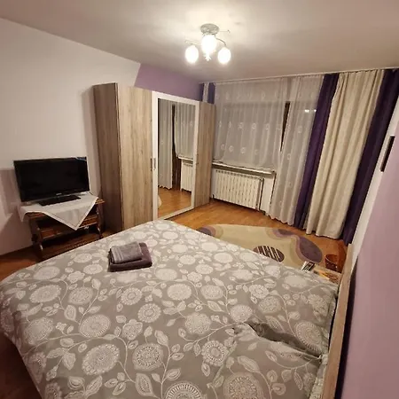 Apartment Apartament Victoria Targu Jiu